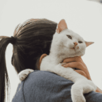 Cuando amas a un animal, cambia tu manera de mirar el mundo Un gato sobre el hombre de una mujer que se ve de espaldas.