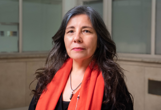La académica de la Facultad de Derecho de la Universidad de Chile, Myrna Villegas.