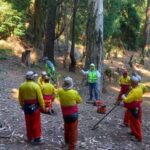 Chile recibe US$15 millones del Banco Mundial por reducir emisiones de carbono 2026-06-23 Chile recibe 15 millones de dólares del Banco Mundial por reducción de emisiones de carbono.