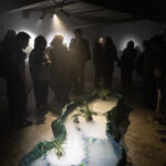 Galería Cripta llega a Galpón Independencia con la exposición "Pirata de una capital sin mar" Islas de luz flotan sobre el pasto_Curaduria x Paola Nava_obra de Paulina Mellado_Foto x Rayen Luna Solar