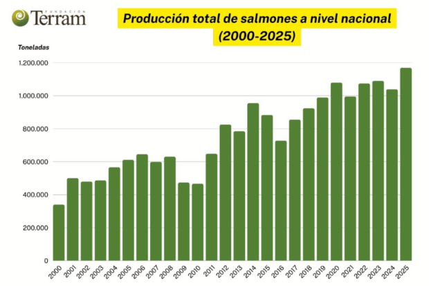 Producción salmones 2000-2025. Gráfico realizado por la Fundación Terram,