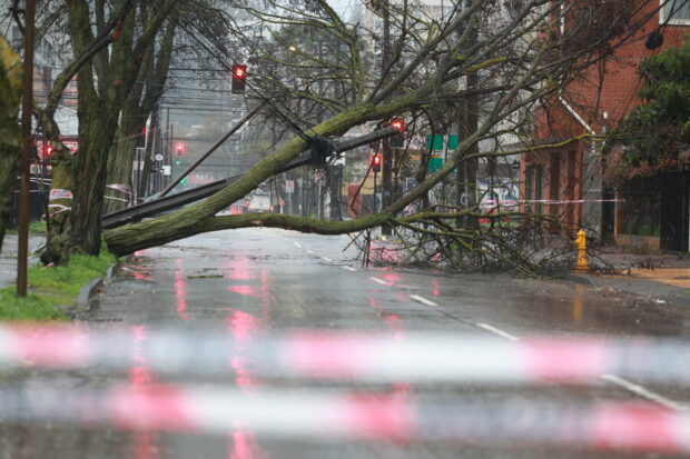 Debido al fuerte viento, se registran arboles caídos en el centro de Concepción. Foto: Aton Chile.