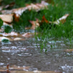 Sector agrícola acumularía pérdidas cercanas a los US$ 400 millones tras sistema frontal Un charco de lluvia en el suelo con baches y salpicaduras, rodeado de hierba verde y hojas caídas.