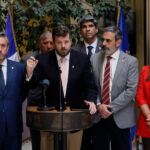 partido nacional libertario