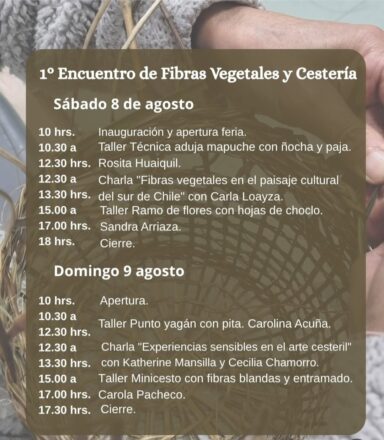 1 encuentro de fibras vegetales y cesteria de santiago arte textil y manos de ñocha