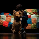 "Zorro", obra que será parte de la edición 19 del FAM Fest.