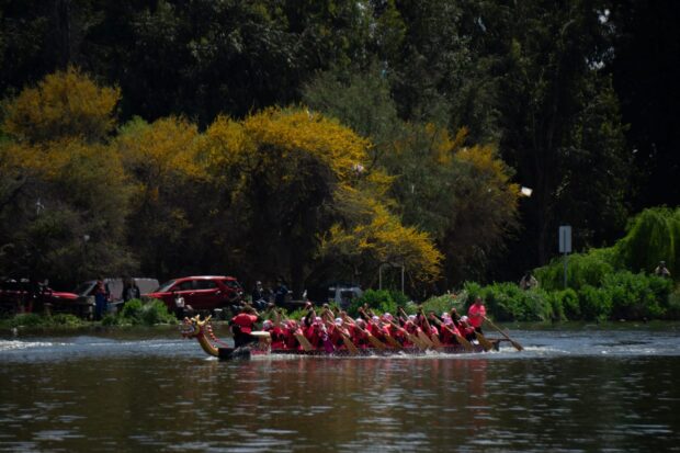 Equipo de mujeres remando en bote dragón sobre una laguna rodeada de árboles.