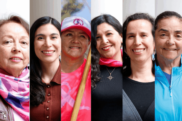 De izquierda a derecha Marta Sepúlveda, Daniela Cerda, Paula Farias, Carolina Meza y Mónica Hernández, integrantes de Fortale-Senos Chile.
