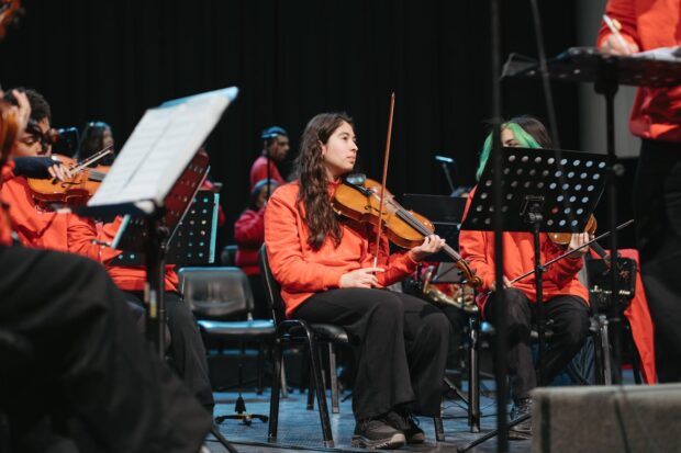 Ciclo de Conciertos Educacionales.