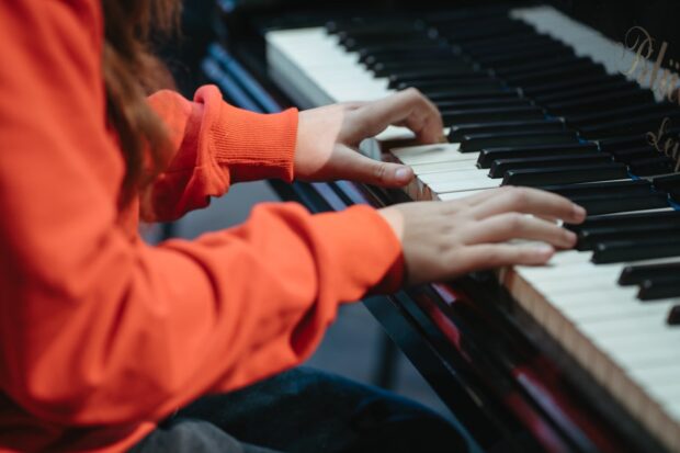 Ciclo de Conciertos Educacionales.