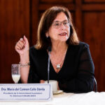 María del Carmen Calle: “Estamos retrocediendo en la educación sexual integral” María del Carmen Calle Dávila, presidenta de la International Association for Adolescent Health.