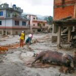 Desastre fluvial en la frontera de Nepal y Tíbet: cifra de fallecidos alcanza los 750 Catástrofe en Nepal y China.