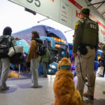 Autoridades fiscalizan buses en Estación Central previo a las Fiestas Patrias.