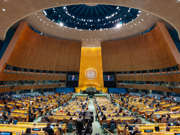 Asamblea General de las Naciones Unidas.