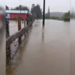 Sistema frontal provoca desbordes en La Araucanía: Senapred ordena evacuaciones en Curarrehue y Pucón Zona roral inundada.