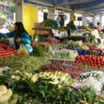Académica U. de Chile advierte que más de mil millones de toneladas de alimentos se botan cada año Alimentos.