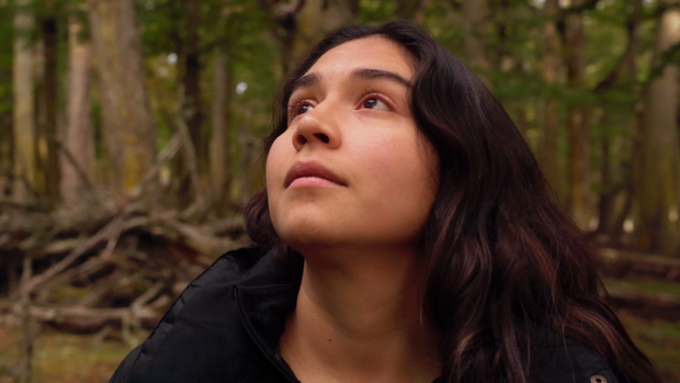 "Vuelvo donde nunca estuve", película chilena.